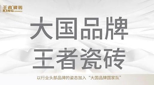 王者宣傳片|登陸全國高鐵，開啟王者品牌建設(shè)新時代